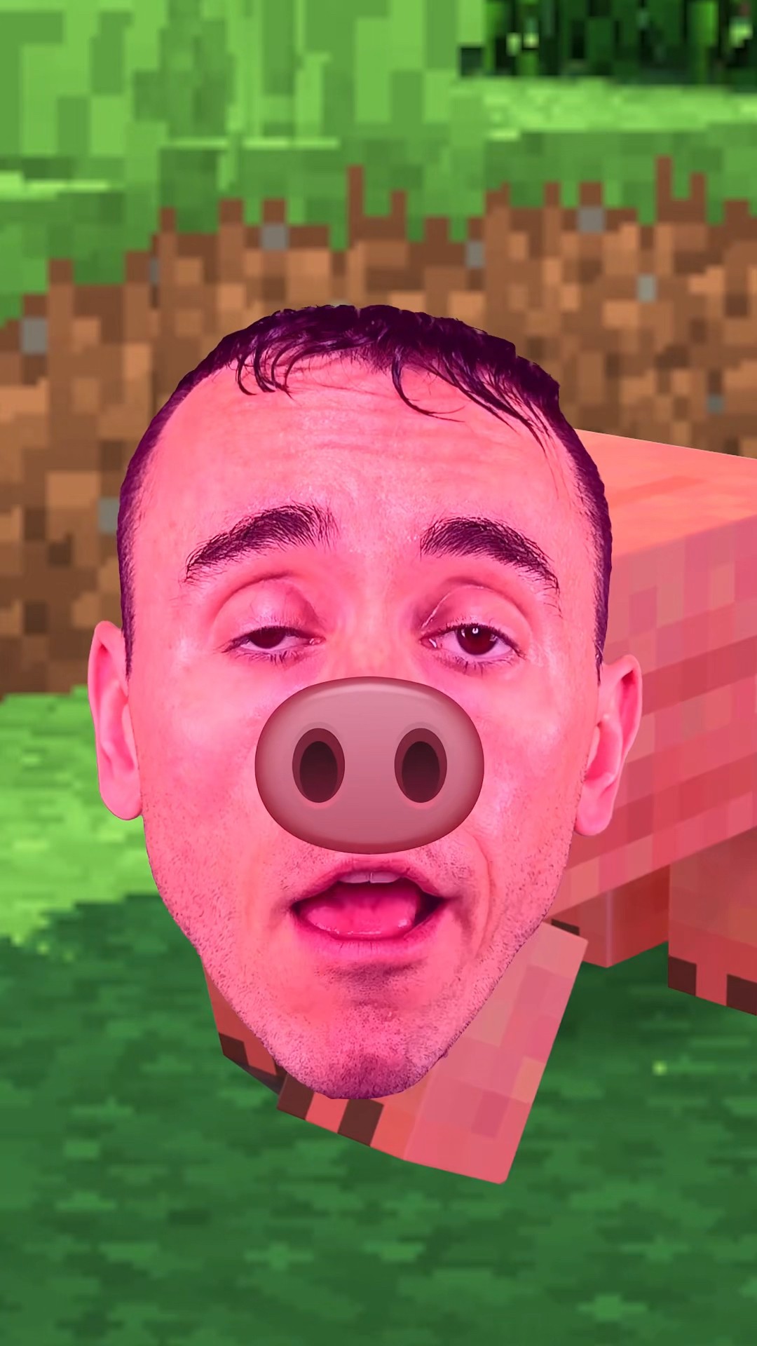 When Minecraft Pigs Are Sus…