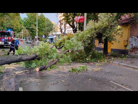 Бурята в Русе: Хора, затиснати от паднали дървета, и затворени улици