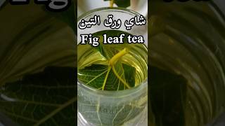 شاي أوراق التين/ Fig leaf tea /Thé aux feuilles de figuiershorts
