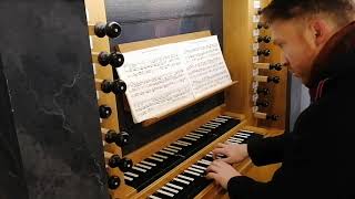 J. S. Bach: Jesu meine Freude BWV 610
