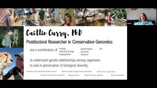 My Path to a Career in Wildlife Conservation Genetics