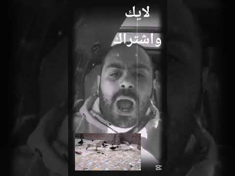 هدير فتاة الاقصر كله وهم اكسبلور