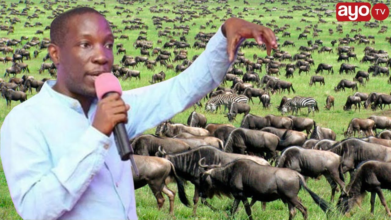 Muthaba MKONO WA RUGE MUTAHABA WAIBUKIA VIDEO YA UTALII