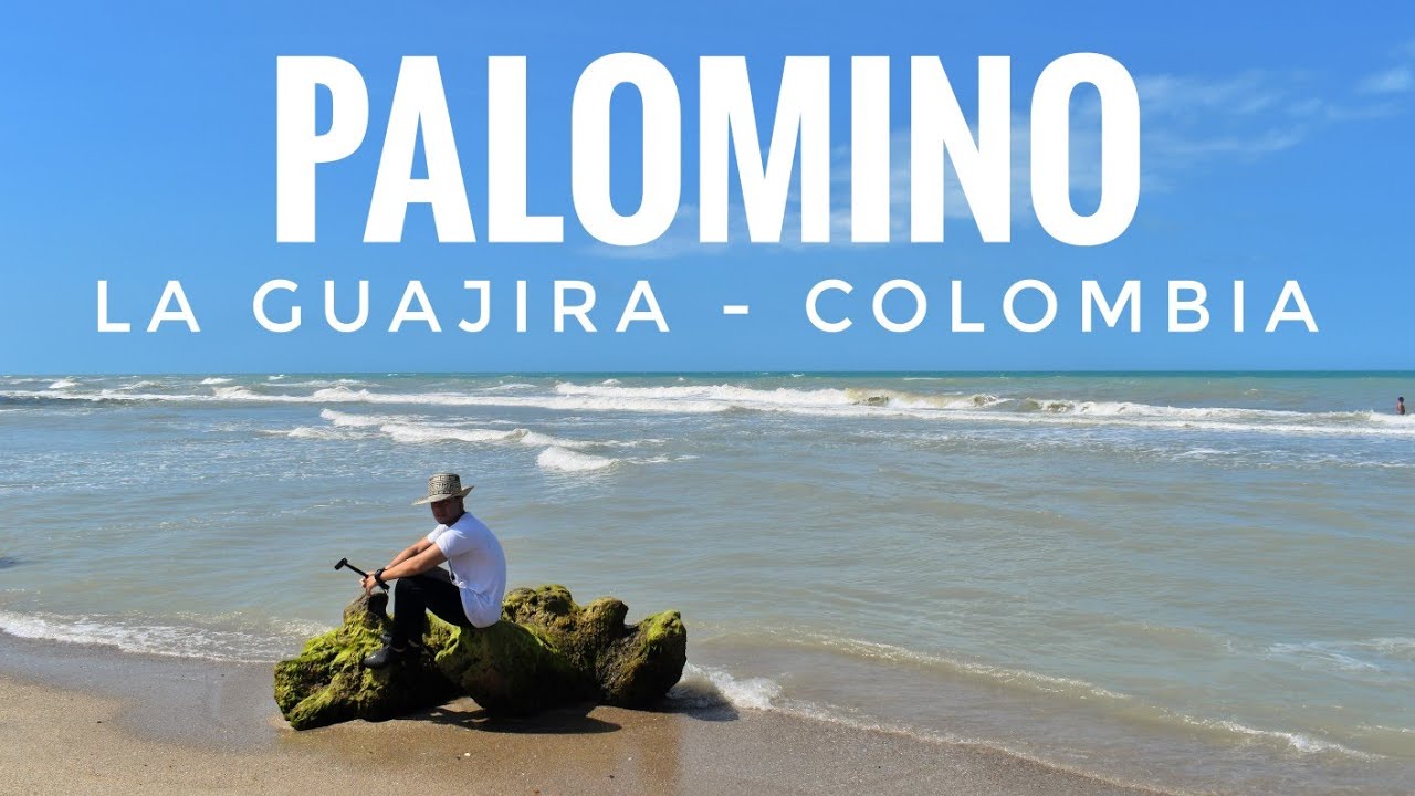 PALOMINO La Guajira Colombia ¿Qué hacer en 1 día? | 2021 - YouTube