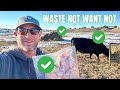 🐖 Waste Hay, an Amazing Resource