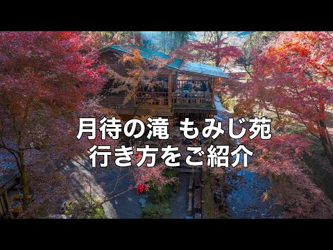 話題沸騰【月待の滝の行き方紅葉編】アクセス抜群で袋田の滝から近い！ドローン男子空撮