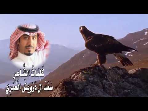 بني عمرو كلمات الشاعر سعد ال درويش العمري اداء المنشد زاهي الرشيدي