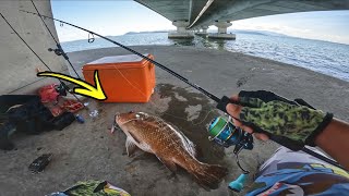 Detik Cemas Mendaratkan SIAKAP MERAH Saiz Besar!!