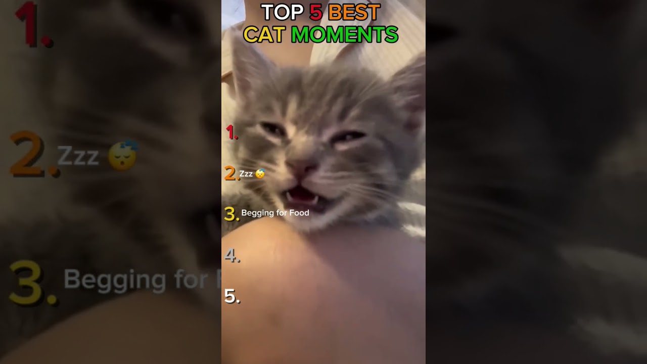 He's Casting A Magic Spell 😁😅 