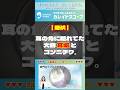【潜伏】耳の角に隠れてた大物耳垢とコンニチワ。