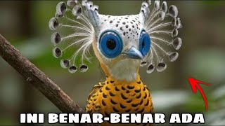 25 Burung Langka Yang Terlihat Terlalu Menakjubkan Untuk Menjadi Nyata