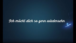 Ich würd dich so gern wiedersehn (Andrea Berg) - Coverversion Schlagerburschi