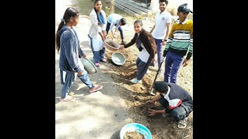 NSS MCBU Chhatarpur MP 🇮🇳🇮🇳