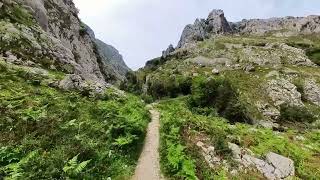 COLLADO DE PANDÉBANO, BULNES, PONCEBOS, PARQUE NACIONAL DE LOS PICOS DE EUROPA. ASTURIAS. ESPAÑA.