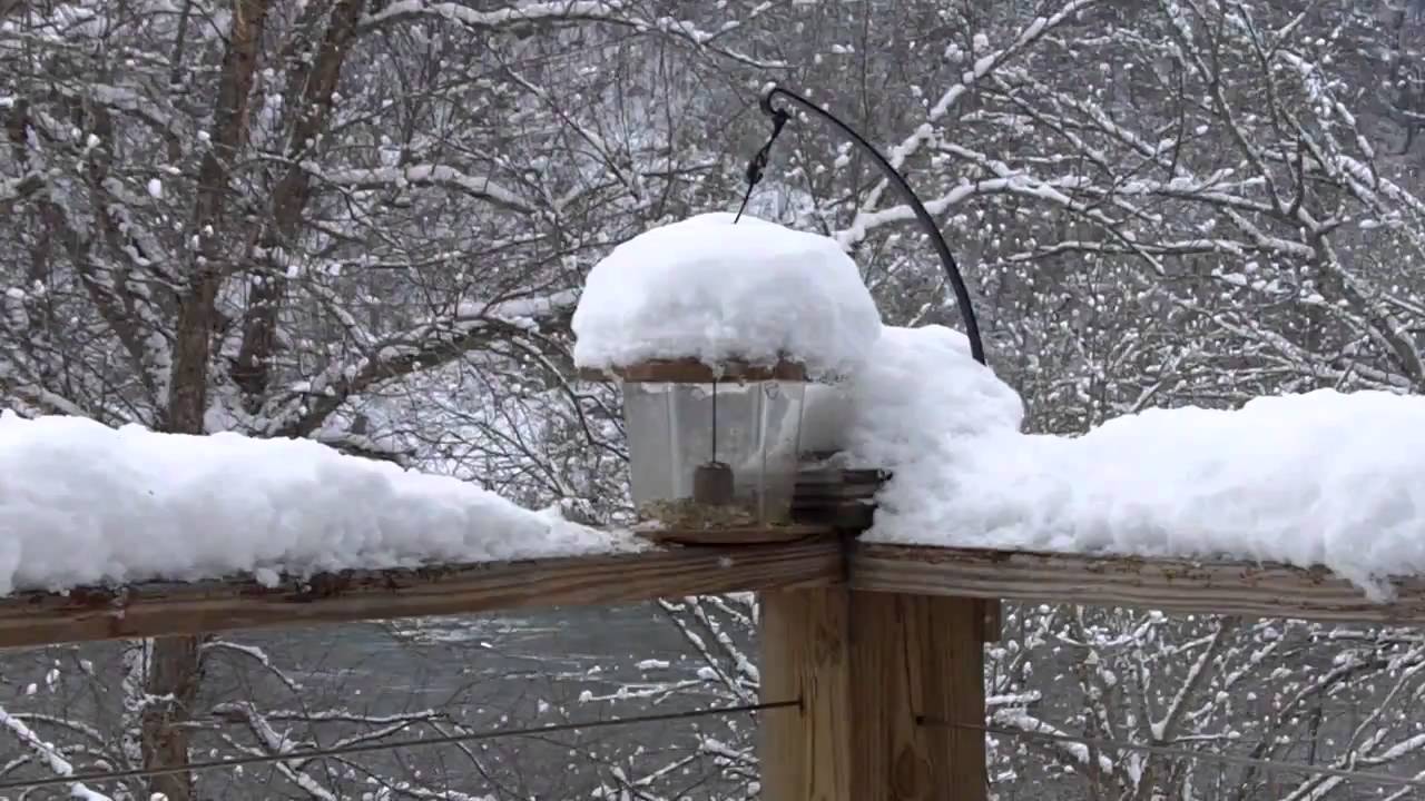 A snowy scene at Riverside Escapes, Asheville NC