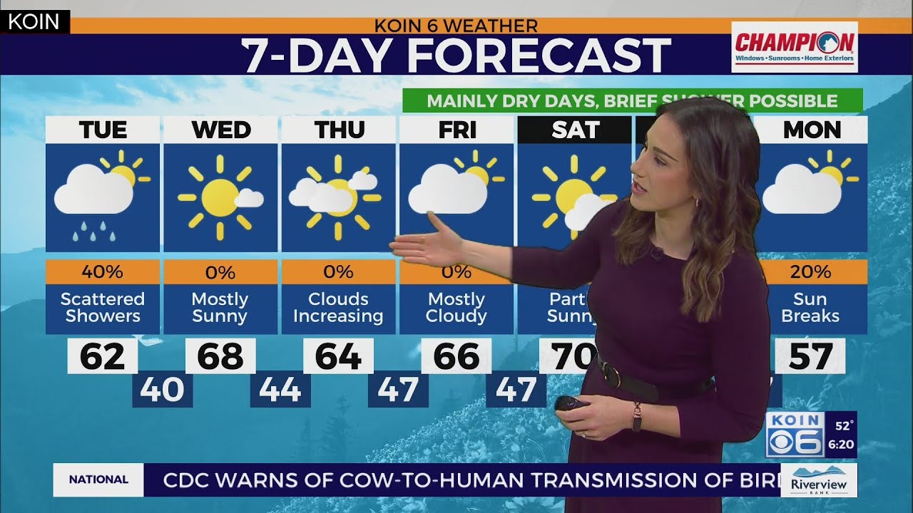Weather forecast: Drier and mild trend returns to Portland - YouTube