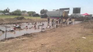 Warrior Dash 2012-Florence, Arizona