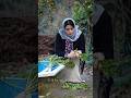 Torshe Tareh Local Stew Rural Cuisine 