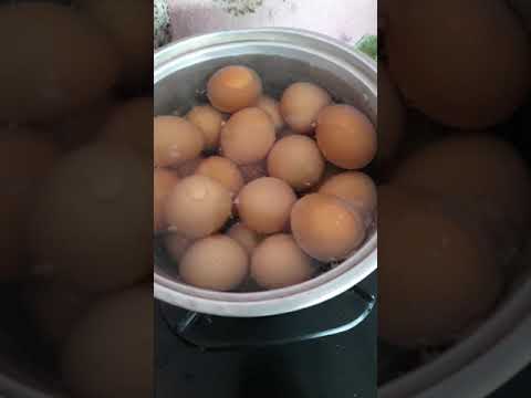 Cara Merebus Telur Hemat Gas - Anti Boros *Berapa lama waktu yang diperlukan untuk merebus telur sam. 