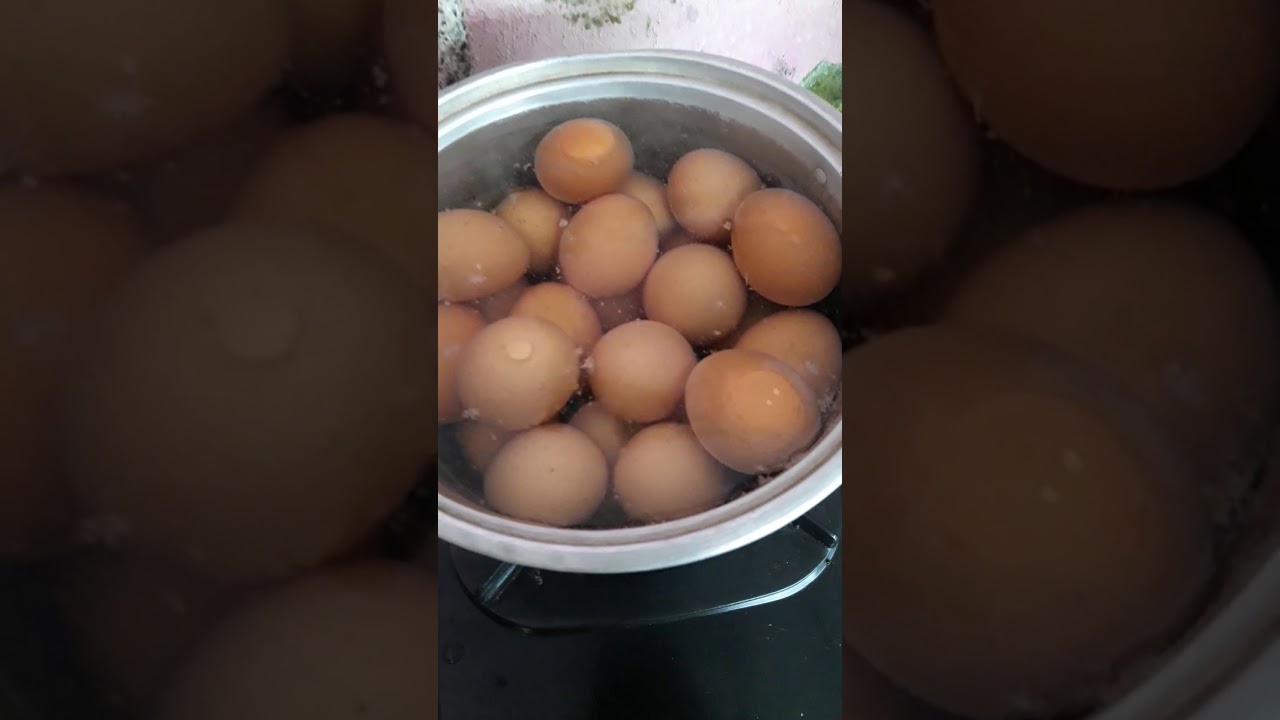 cara merebus telur dalam jumlah banyak agar tidak pecah 