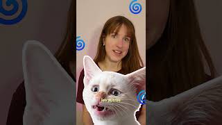 Et ton chat, il réagit comment chez le véto ? 🙀🩺🥼 #chat #caats