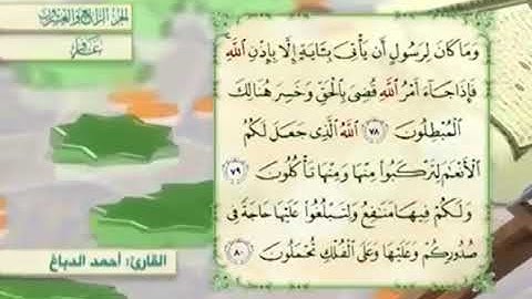 آية٧٩سورة غافر مكرر القارئ أحمد الدباغ