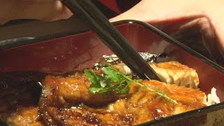 ナマズのかば焼き販売 土用丑の日、近畿大直営店