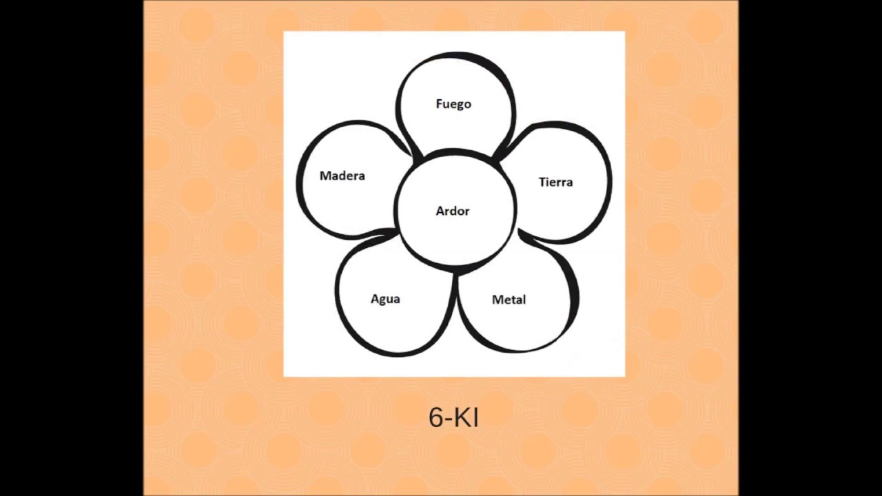 Terapia Su Jok-  Curso Acupuntura Su Jok online