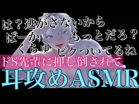 【耳鳴めASMR女性向けボイス】ドS先輩に保健室で押し倒されて耳元で囁かれながら最後までされるASMR立体音響バイノーラル録音めねふ