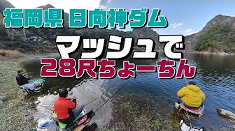 へら鮒釣り