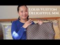 Louis Vuitton Delightful MM Bag Review / Damier Ebene Coated Canvas Print