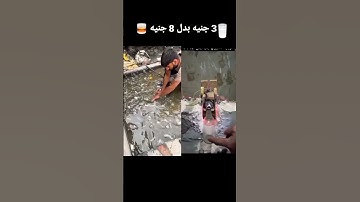 القران سوره ابراهيم الشيخ المنشاوي
