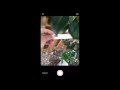 Documenting shrubs and trees with SwatchDeck landscape design and Garden Planner app Documenting shrubs and trees with SwatchDeck landscape design and Garden Planner app