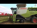 Claas Lexion 770 in Gerste und Weizen - Multi Agrar Claußnitz GmbH