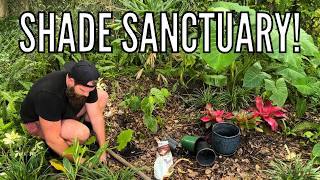 Backyard Makeover: Transforming My Shade Garden into a Tropical Oasis