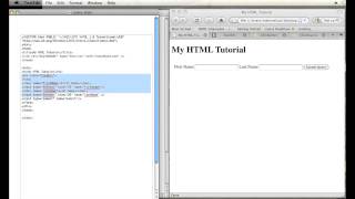 How to Create a Split Border in HTML