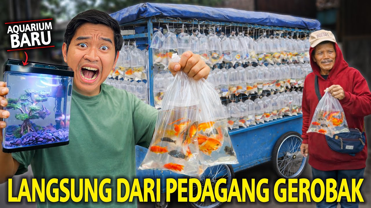 BIKIN AQUARIUM MINI LANGSUNG DI PEDAGANG IKAN GEROBAK! DAPET IKAN JACKPOT MURAH BANGET!