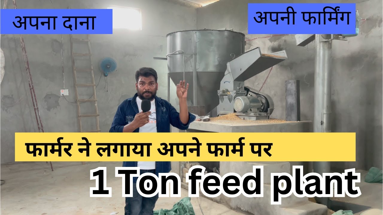 1 Ton फीड प्रोडक्शन के साथ अपने दाने पर पोल्ट्री फार्मिंग
