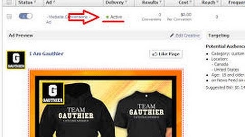 TEESPRING AND FACEBOOK ADS - Tips and Secrets | How To Setup Ads Setup