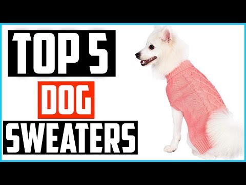 top-5-best-dog-sweaters-in-2020