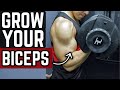 6 BICEP WORKOUTS WITH DUMBBELLS | Biceps Workout at HOME
