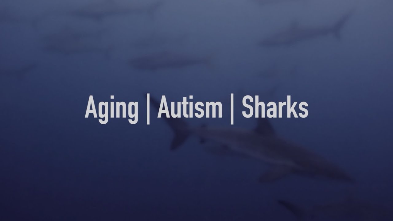 Warren (or) Those People