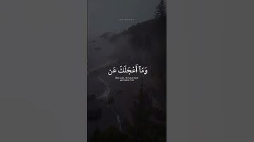 اكتب شي تؤجر عليه 🤍 ｜ القارئ محمد ديبيروف ｜ قرآن كريم