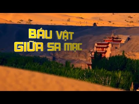 Báu vật giữa sa mạc - Tinh Hoa TV