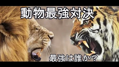 アニマルバトル 外国