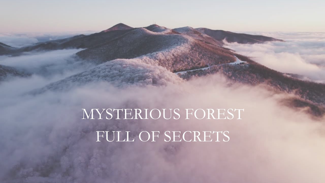 Where Beauty Meets Power