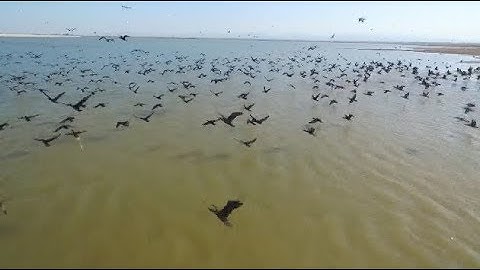 Improved Environment Makes China