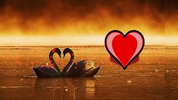 Visualizer by Andronaut - #43