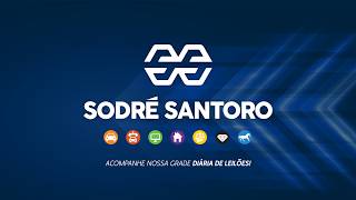 SODRÉ SANTORO LEILÕES| Programação Diária 19/06/2026