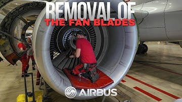 How to remove and install fan blades on Airbus A320